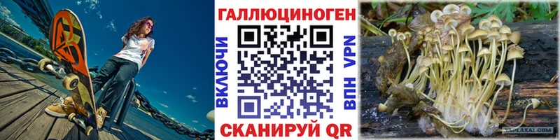 мега tor  Красный Кут  Галлюциногенные грибы Cubensis 